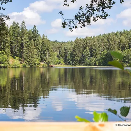 Prázdninový dům Am Muehlenweg Grafenhausen