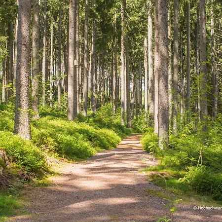 Prázdninový dům Am Muehlenweg *